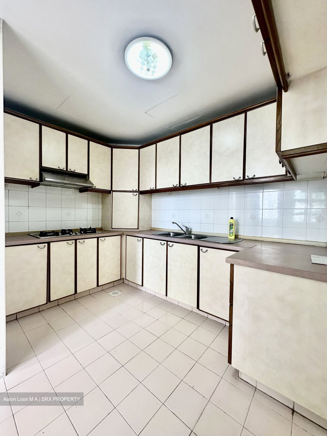 Fortune Park (D19), Condominium #445885801